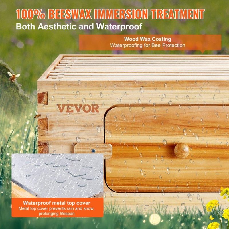 Beekeeping Supplies | Bee Hive 20 Frame Bee Hives Starter Kit, Beeswax Coated Cedar Wood, 1 Deep + 1 Medium Bee Boxes Langstroth Beehive Kit, Transparent Acrylic Windows with Foundations for Beginners Pro Beekeepers Agriculture & Forestry Equipment Beekeeping Supplies