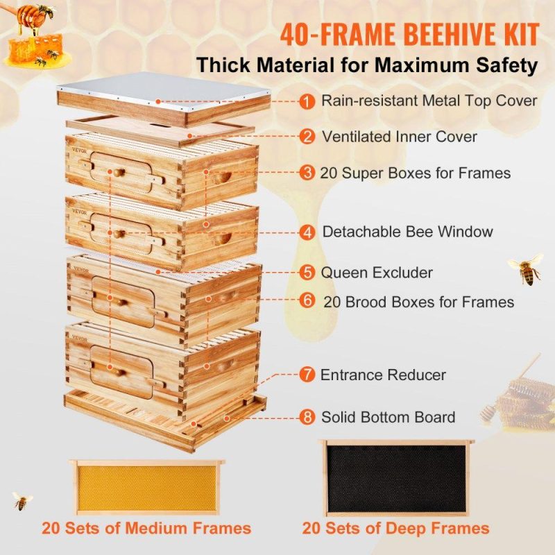 Beekeeping Supplies | Bee Hive 40 Frame Bee Hives Starter Kit, Beeswax Coated Cedar Wood, 2 Deep + 2 Medium Bee Boxes Langstroth Beehive Kit, Transparent Acrylic Windows with Foundations for Beginners Pro Beekeepers Agriculture & Forestry Equipment Beekeeping Supplies