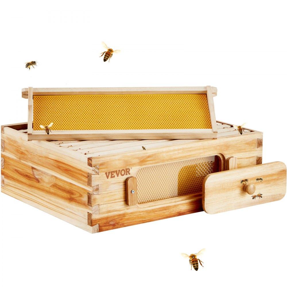 Beekeeping Supplies | Bee Hive Medium Box Starter Kit, 100% Beeswax Coated Natural Cedar Wood, Langstroth Beehive Kit with 10 Frames and Foundations, Transparent Acrylic Bee Windows for Beginners and Pro Beekeepers Agriculture & Forestry Equipment Beekeeping Supplies