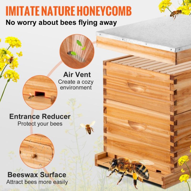 Beekeeping Supplies | Beehive Box Kit Bee Honey Hive 20 Frames 1 Deep 1 Medium Natural Fir Wood Agriculture & Forestry Equipment Beekeeping Supplies