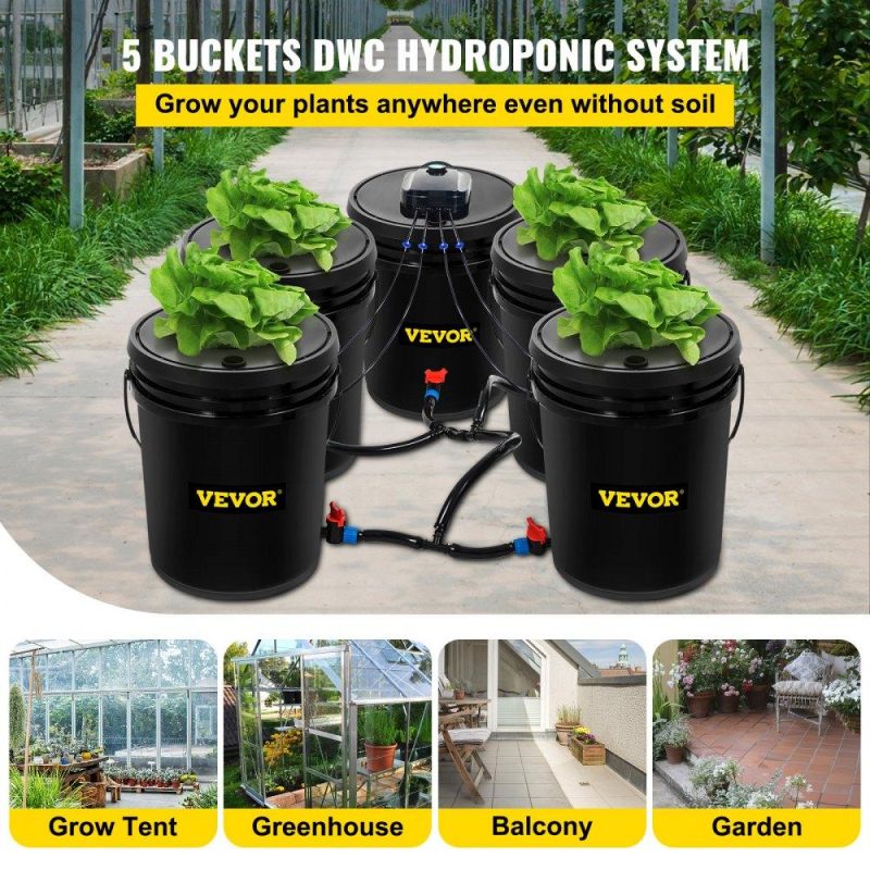 Hydroponics | Hydroponics Deep Water Culture DWC Hydroponic System 5 Gallon 5 Buckets Hydroponics Hydroponics