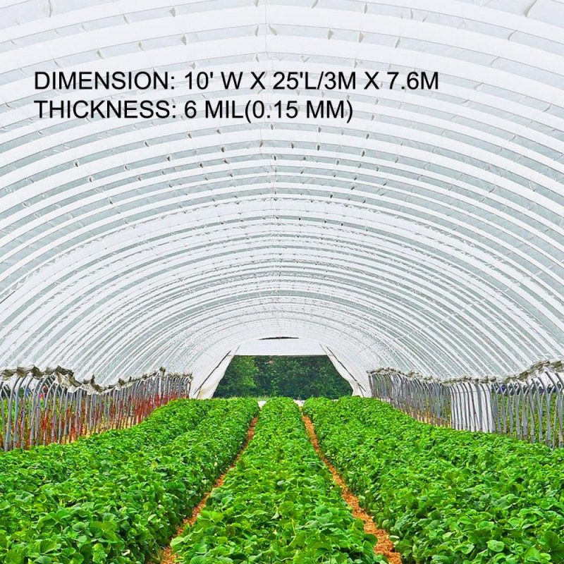 Landscaping & Shade | Greenhouse Film 10 x 25 ft, Greenhouse Polyethylene Film 6 Mil Thickness, Greenhouse Plastic Greenhouse Clear Plastic Film UV Resistant, Polyethylene Film Keep Warming, Superior Toughness Landscaping & Shade Landscaping & Shade