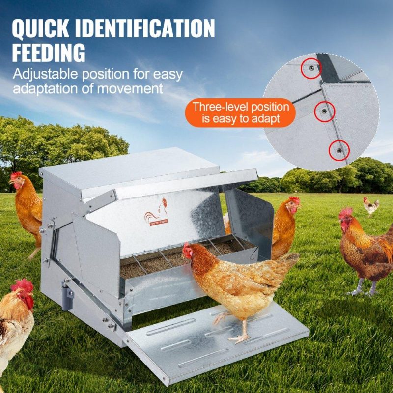 Livestock & Poultry Supplies | Automatic Chicken Feeder, 25 lbs Capacity Feeds 10 Chickens up to 11 Days, Galvanized Steel Poultry Feeder Agriculture & Forestry Equipment Livestock & Poultry Supplies