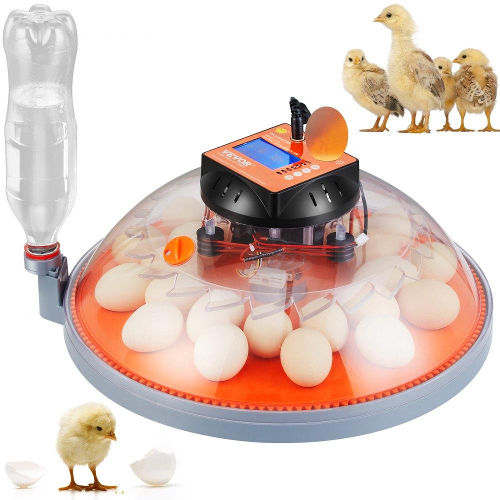 Livestock & Poultry Supplies | Egg Incubator, Incubators for Hatching Eggs, Automatic Egg Turner with Temperature and Humidity Control, 24 Eggs Poultry Hatcher with ABS Transparent Shell for Chicken, Duck, Quail Agriculture & Forestry Equipment Livestock & Poultry Supplies