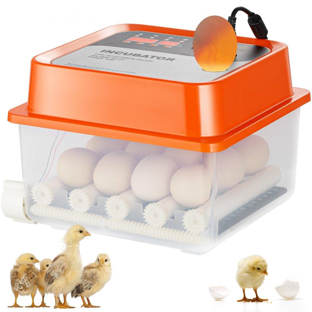 Livestock & Poultry Supplies | Egg Incubator, Incubators for Hatching Eggs, Automatic Egg Turner with with Temperature and Humidity Control, 12 Eggs Poultry Hatcher with ABS Transparent Shell for Chicken, Duck, Quail Agriculture & Forestry Equipment Livestock & Poultry Supplies