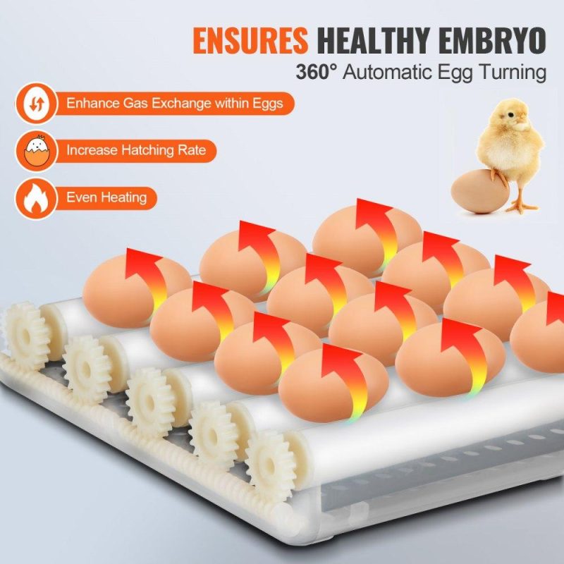 Livestock & Poultry Supplies | Egg Incubator, Incubators for Hatching Eggs, Automatic Egg Turner with with Temperature and Humidity Control, 12 Eggs Poultry Hatcher with ABS Transparent Shell for Chicken, Duck, Quail Agriculture & Forestry Equipment Livestock & Poultry Supplies