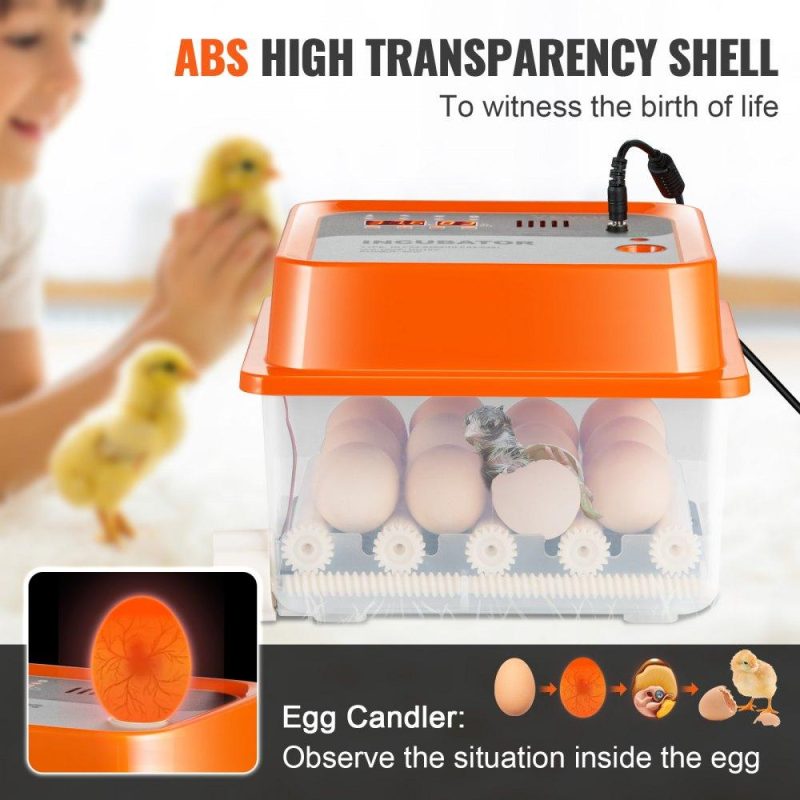 Livestock & Poultry Supplies | Egg Incubator, Incubators for Hatching Eggs, Automatic Egg Turner with with Temperature and Humidity Control, 12 Eggs Poultry Hatcher with ABS Transparent Shell for Chicken, Duck, Quail Agriculture & Forestry Equipment Livestock & Poultry Supplies