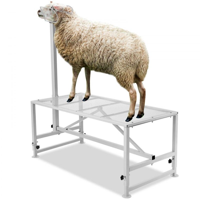 Livestock & Poultry Supplies | Goat & Sheep Stand, 47×23 inch Livestock Stand, Metal Livestock Milking and Shearing Stand 21″ to 33″ Adjustable Height, with Headpiece and Nose Loop, 500lbs Loading Weight, White White Agriculture & Forestry Equipment Livestock & Poultry Supplies