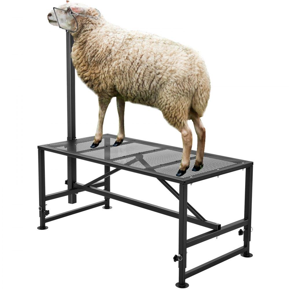 Livestock & Poultry Supplies | Goat & Sheep Stand, 47×23 inch Livestock Stand, Metal Livestock Milking and Shearing Stand 21″ to 33″ Adjustable Height, with Headpiece and Nose Loop, 500lbs Loading Weight, Black Black Agriculture & Forestry Equipment Black