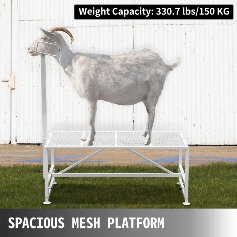 Livestock & Poultry Supplies | Livestock Stand 51×23 inches, Trimming Stand with Straight Head Piece, Goat Trimming Stand Metal Frame Sheep Shearing Stand Livestock Trimming Stands White Agriculture & Forestry Equipment Livestock & Poultry Supplies