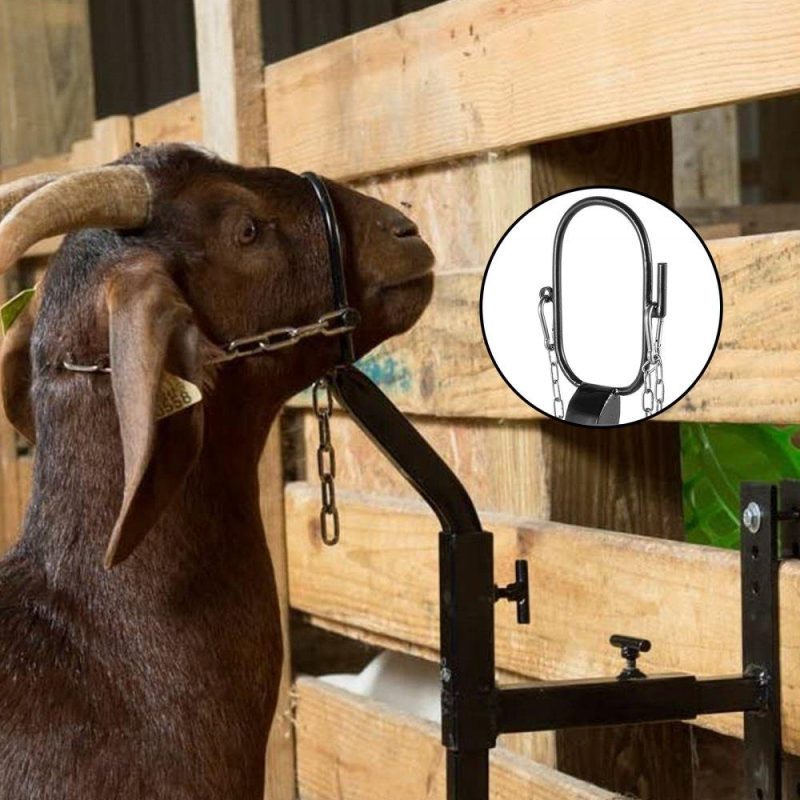 Livestock & Poultry Supplies | Livestock Stand Steel Gate Attachment Nose Loop Headpiece, 9.8inch Height and Trimming Stand 5.9inch Length Adjustable, Nose Loop Goat Trimming Stands, Sheep Shearing Stand, for Sheep & Goats Black Agriculture & Forestry Equipment Black