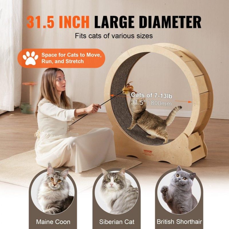 Pet Supplies | Cat Exercise Wheel, Large Cat Treadmill Wheel for Indoor Cats, 35.8 inch Cat Running Wheel with Detachable Carpet and Cat Teaser for Running/Walking/Training, Suitable for Most Cats Agriculture & Forestry Equipment Pet Supplies