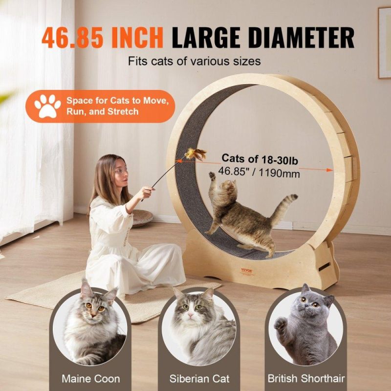 Pet Supplies | Cat Exercise Wheel, Large Cat Treadmill Wheel for Indoor Cats, 52 inch Cat Running Wheel with Detachable Carpet and Cat Teaser for Running/Walking/Training, Suitable for Most Cats Agriculture & Forestry Equipment Pet Supplies