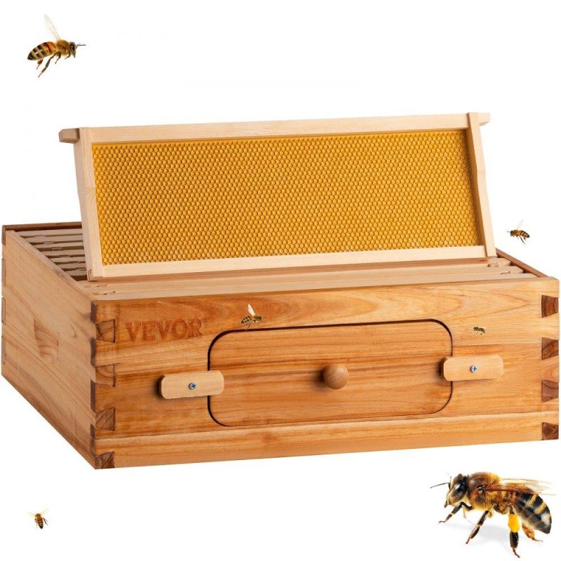 Beekeeping Supplies | Bee Hive, 10-Frame Complete Beehive Kit, 100% Beeswax Natural Wood, Includes 1 Medium Box with 10 Wooden Frames and Waxed Foundations, for Beginners and Pro Beekeepers Agriculture & Forestry Equipment Beekeeping Supplies