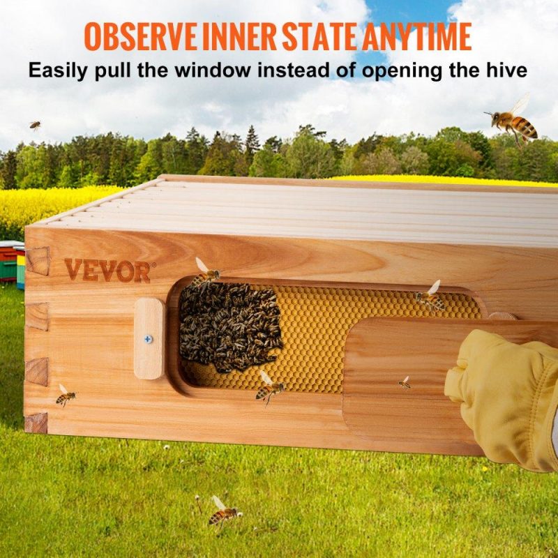 Beekeeping Supplies | Bee Hive, 10-Frame Complete Beehive Kit, 100% Beeswax Natural Wood, Includes 1 Medium Box with 10 Wooden Frames and Waxed Foundations, for Beginners and Pro Beekeepers Agriculture & Forestry Equipment Beekeeping Supplies