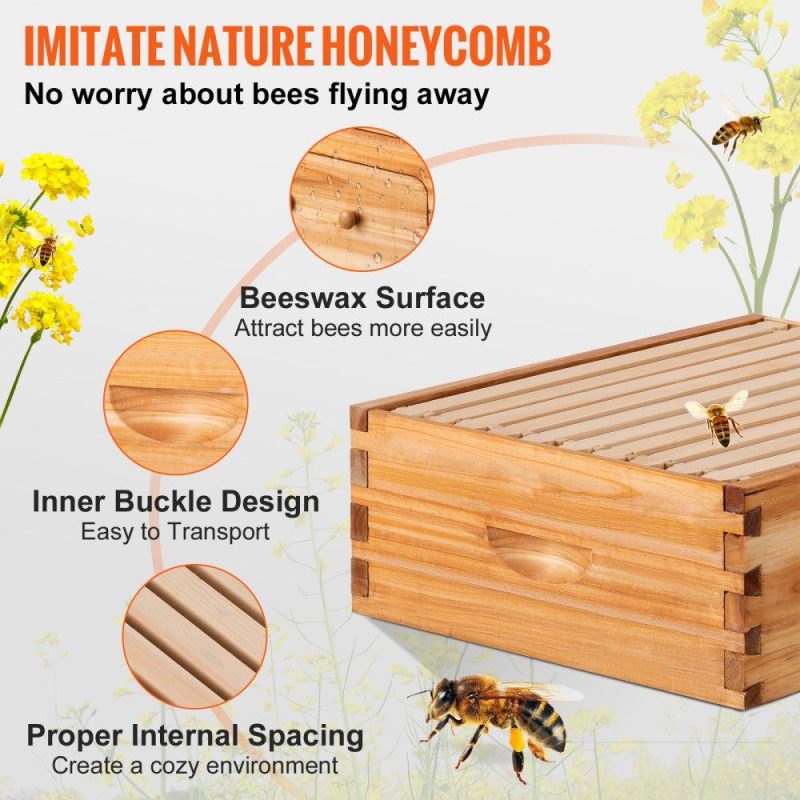 Beekeeping Supplies | Bee Hive, 10-Frame Complete Beehive Kit, 100% Beeswax Natural Wood, Includes 1 Medium Box with 10 Wooden Frames and Waxed Foundations, for Beginners and Pro Beekeepers Agriculture & Forestry Equipment Beekeeping Supplies